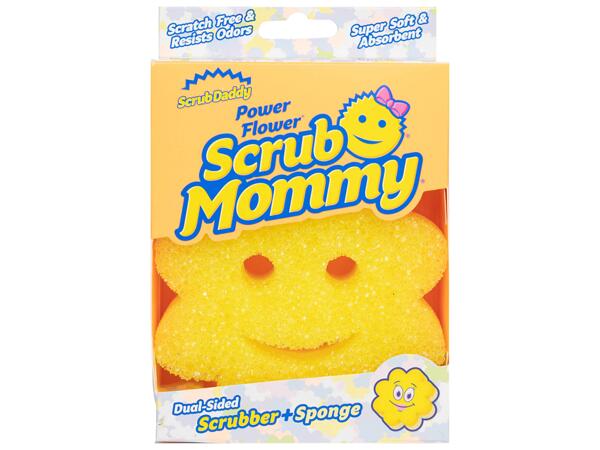 Sponge