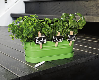 All-in-One Windowsill Garden Kit