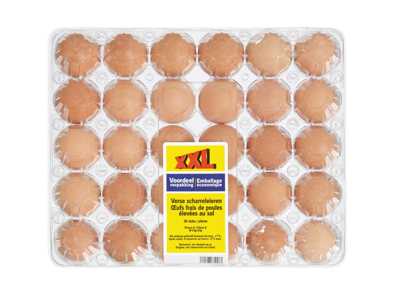 Oeufs de poules élevées au sol