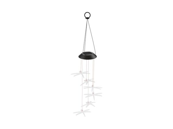 Solar Light Decoration