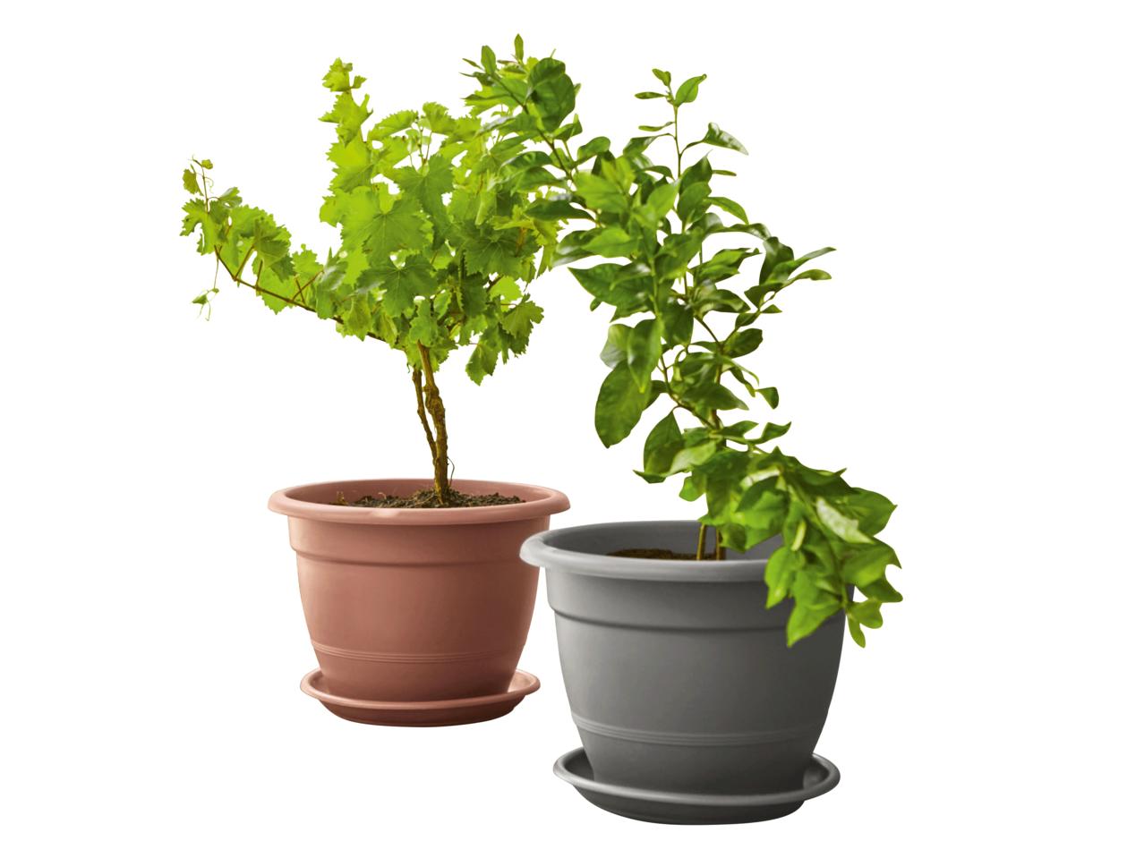 FLORABEST Planter