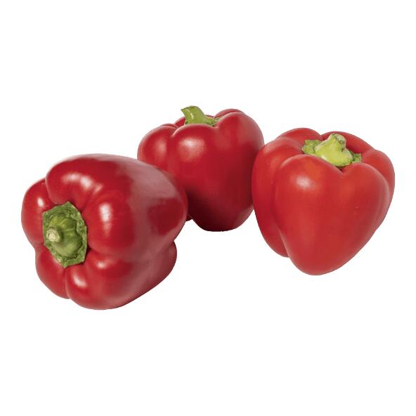Rote Paprika