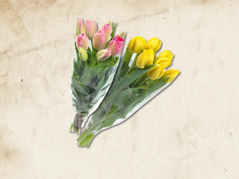 Tulipes (tous les jours)