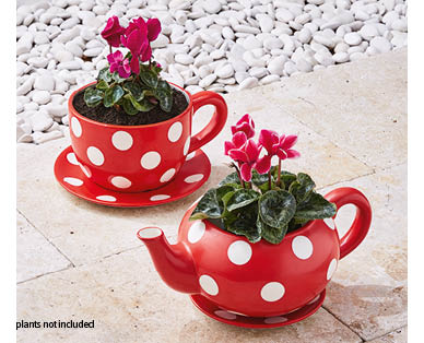 Teacup Planter