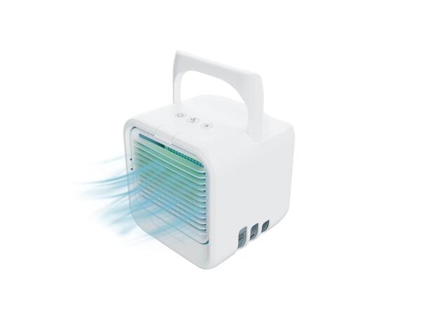 Portable air cooler