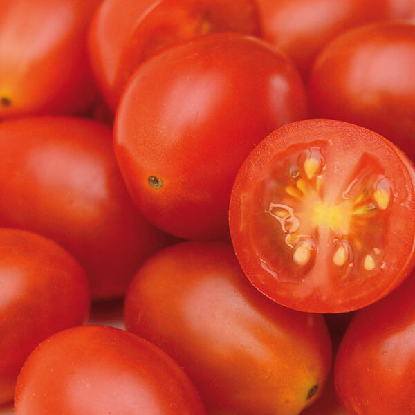 Premium Naschtomaten