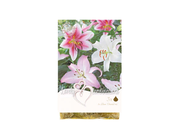 Bulbs "Lovely Combinations"