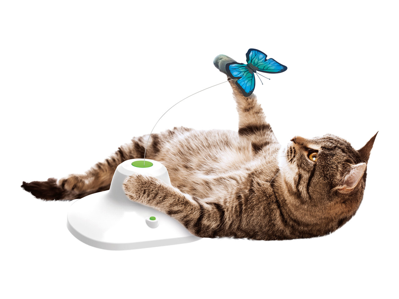 Zoofari Cat Toys1
