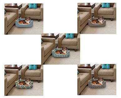 Heart to Tail Round or Rectangle Small Pet Bed