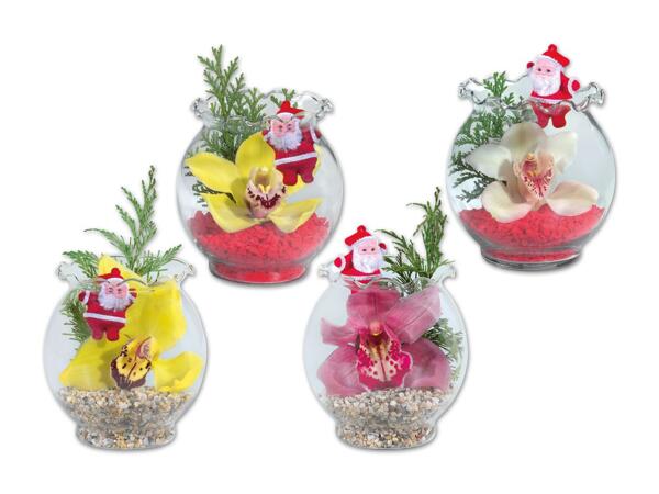 Orchidee im Wellenrandglas