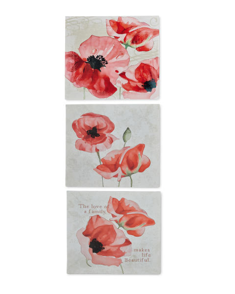 3 Pack Poppy Canvases