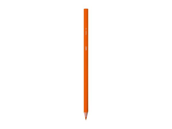 BIC Stationery Assortment