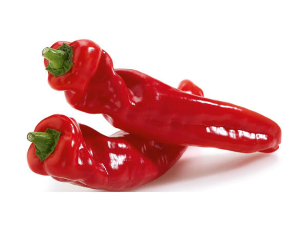 Poivron doux allongé bio