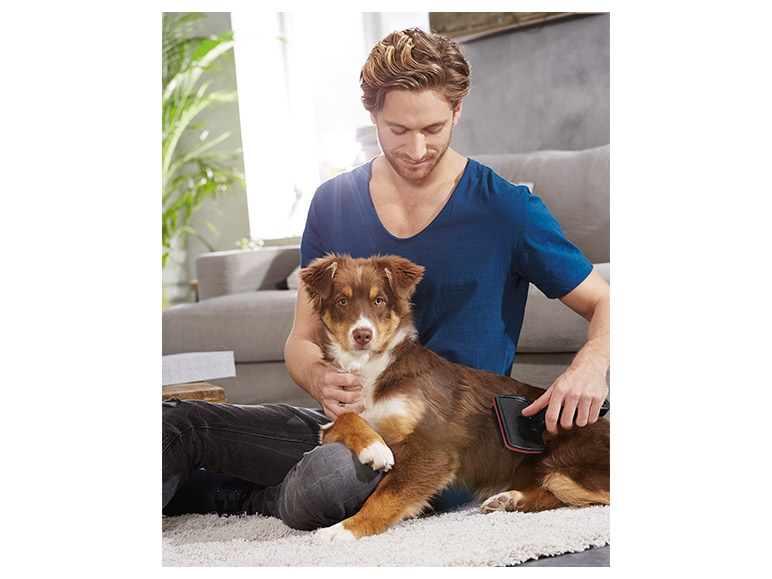 ZOOFARI Pet Care Assortment