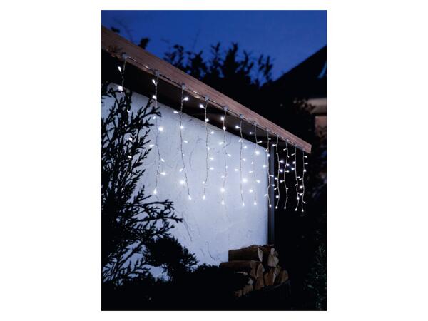 LED curtain or net lights