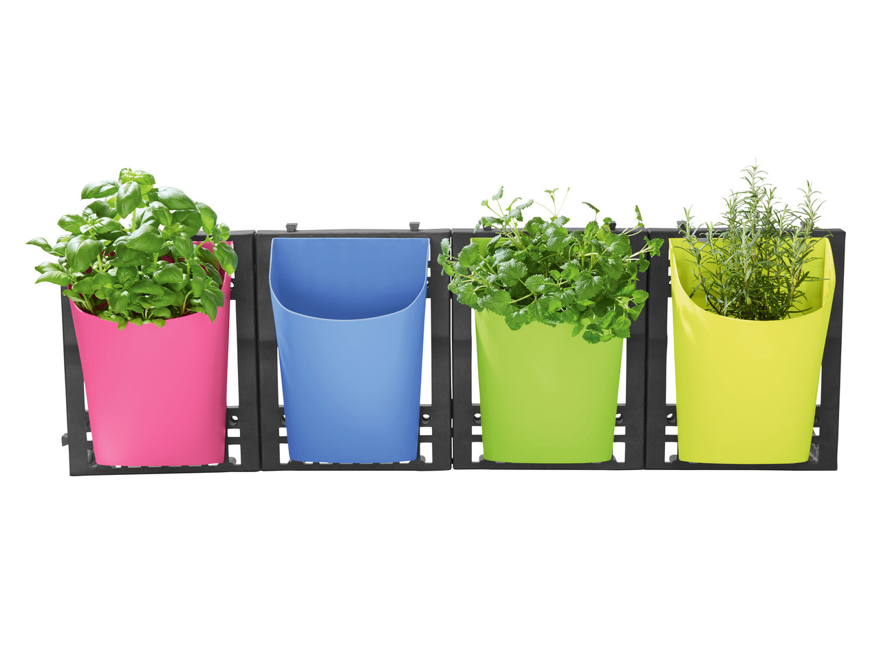Hanging Planter