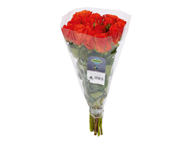 Fairtrade-Rosen