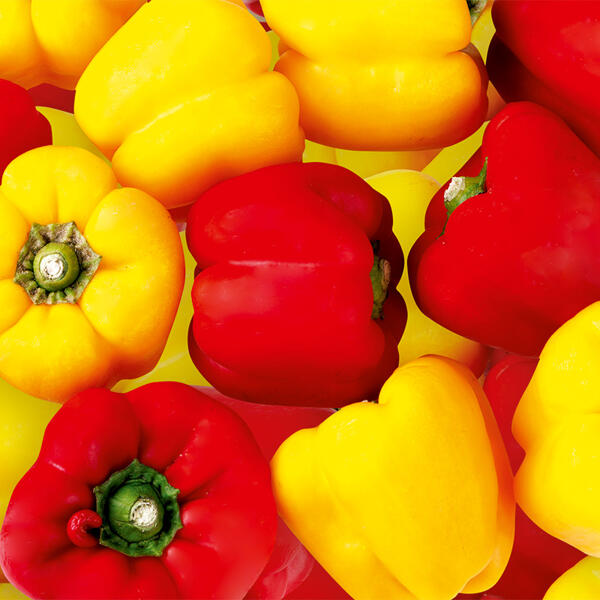 Paprika Sweet Mix