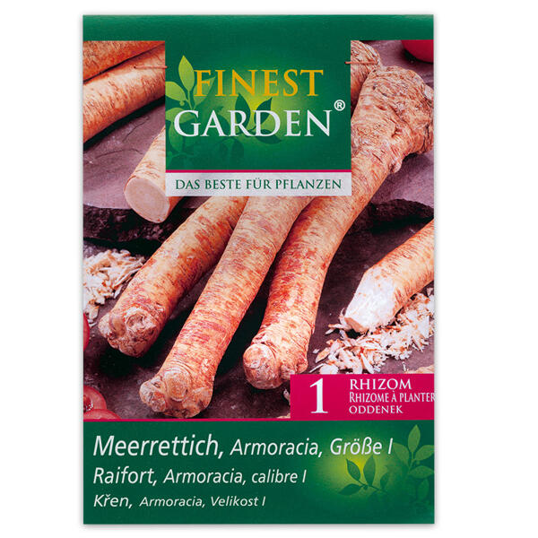 Zwiebeln für den Gemüsegarten