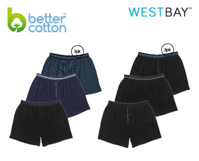 Men's Boxers 3pk or Briefs 5pk
