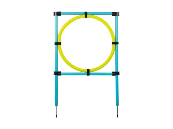 Dog Agility Set