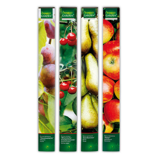 Obstbäume