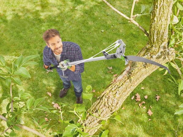 Extendable Tree Lopper With Saw