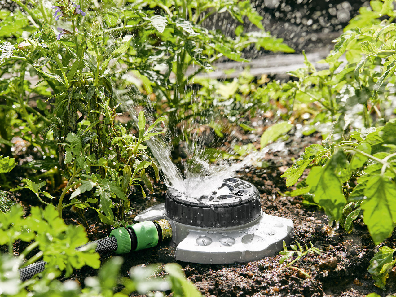 Dial Sprinkler