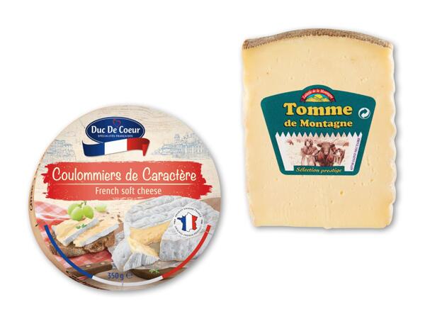 Tomme de Montagne eller fransk brieost
