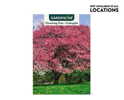 Gardenline 
 Shade or Ornamental Tree Assorted Varieties
