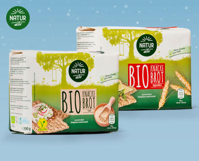 NATUR AKTIV BIO-Knäckebrot