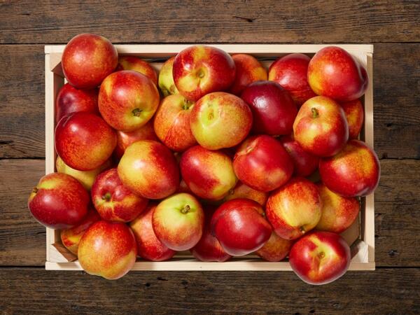 Nectarines