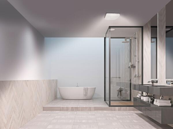 LED Ceiling Light