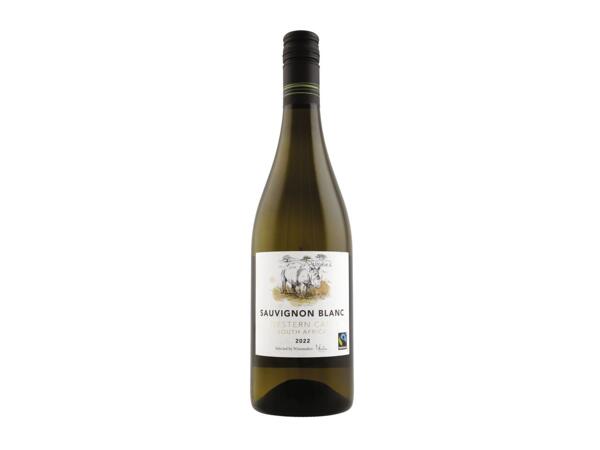 Sauvignon Blanc Western Cape 13%