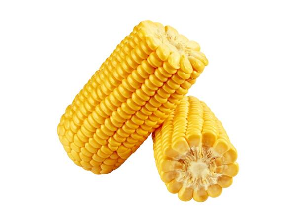 Cooked Corn on the Cob