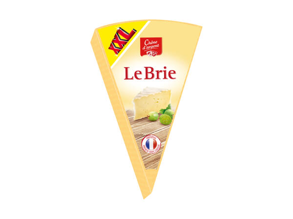 Brie XXL