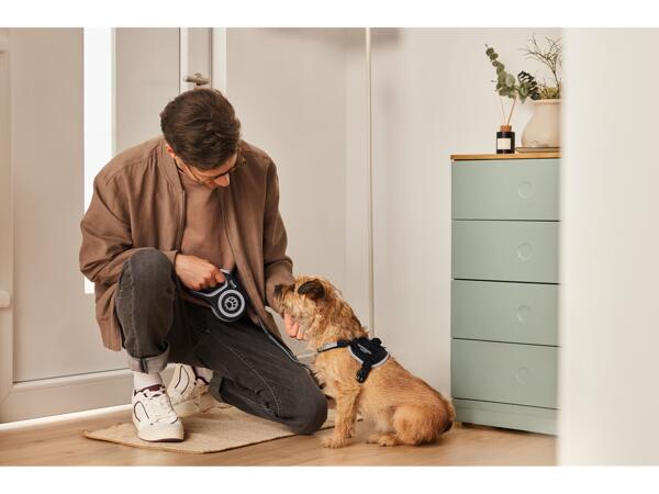 Retractable Dog Lead