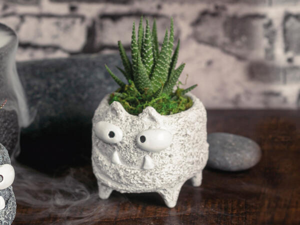 Grøn plante i Monsterkeramik