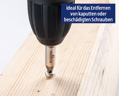 WORKZONE Schraubenentferner Set, 5-teilig