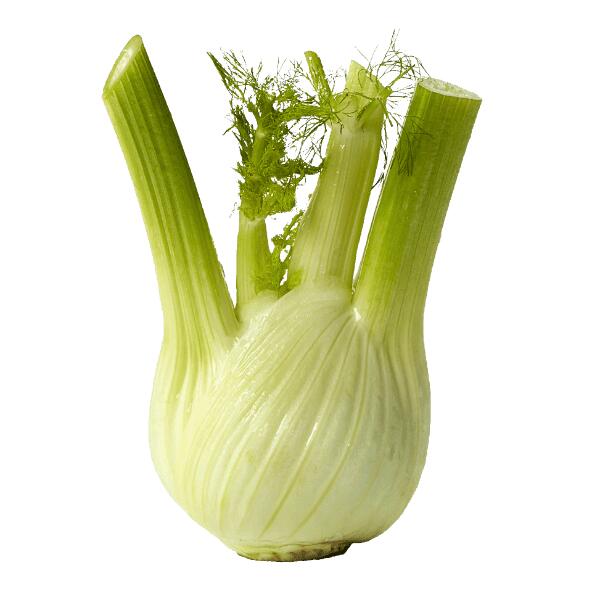 Fenouil