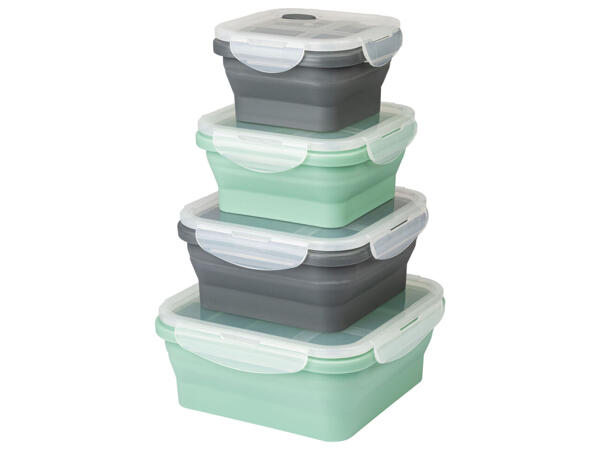 Collapsible Storage Containers