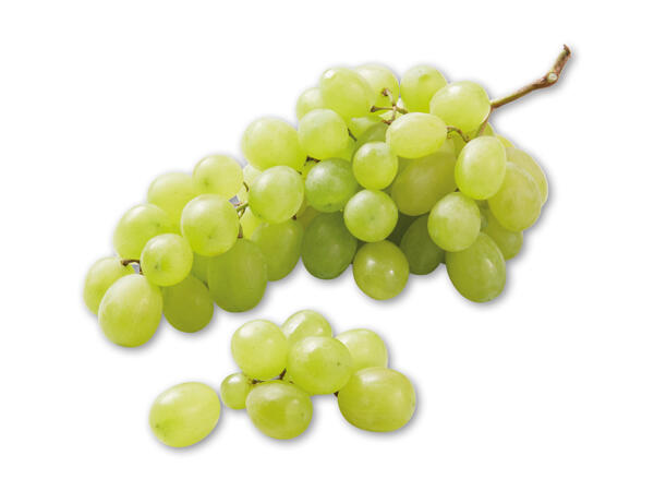 Grappoloni vindruer