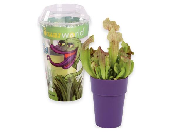 Carnivorous plants