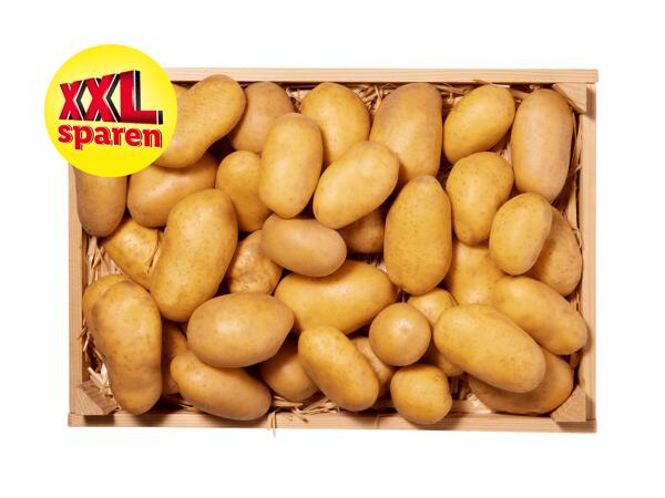 Kartoffeln XXL