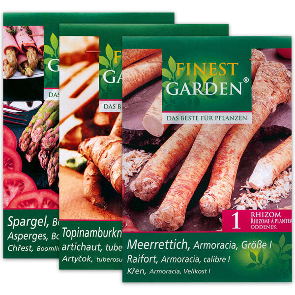 Zwiebeln für den Gemüsegarten