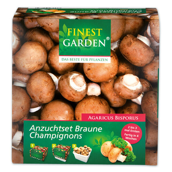 Champignon Anzuchtset