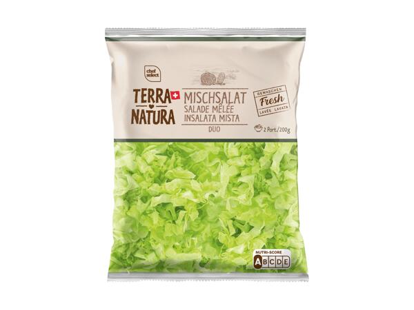 Salade mêlée duo