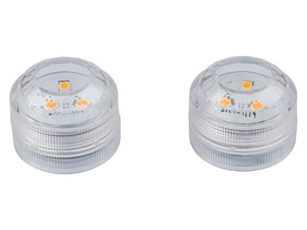 Halloween Lantern Craft Kit or LED Lights