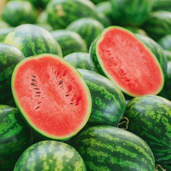 Riesenwassermelone
