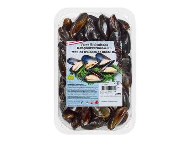 Moules de corde bio fraîches